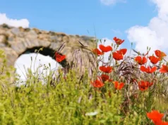 Anemurium Antik Kenti