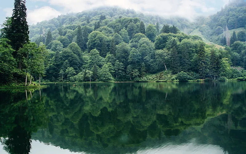 artvin doğal güzellikler