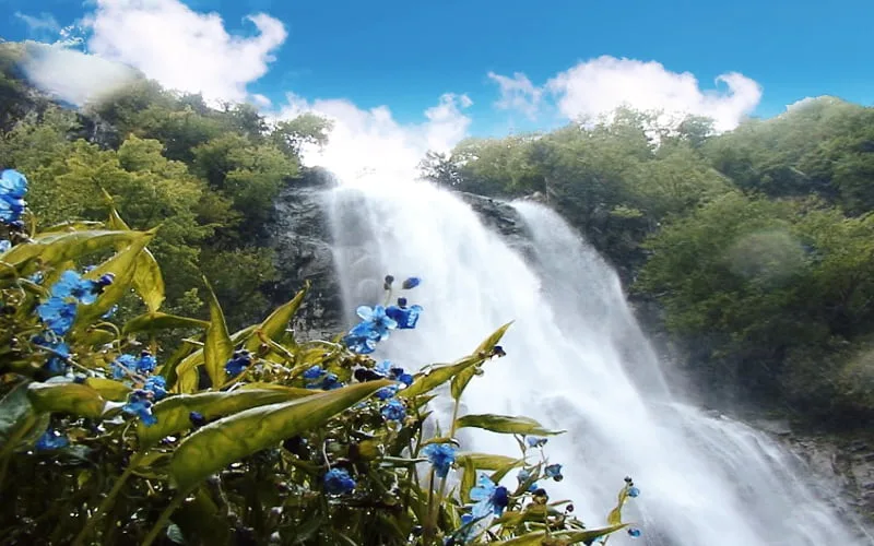 artvin en güzel yerler