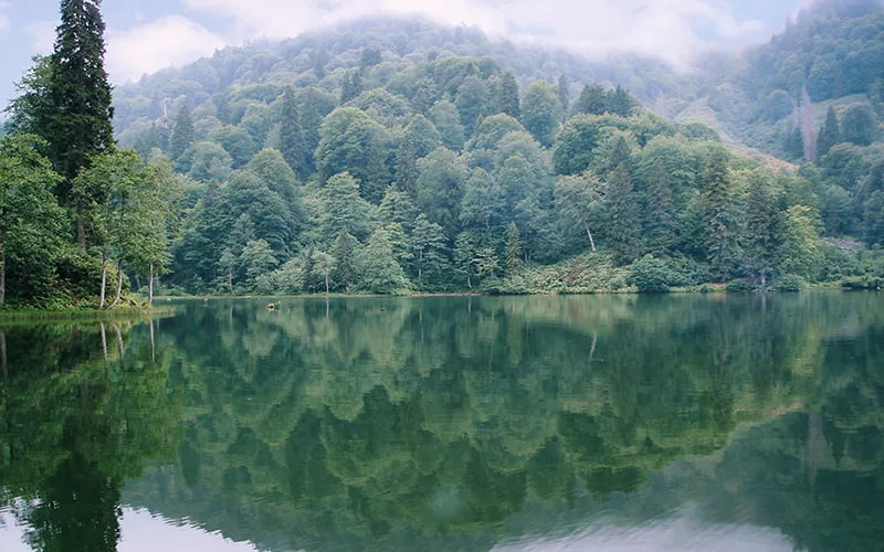 artvin karagöl nasıl gidilir