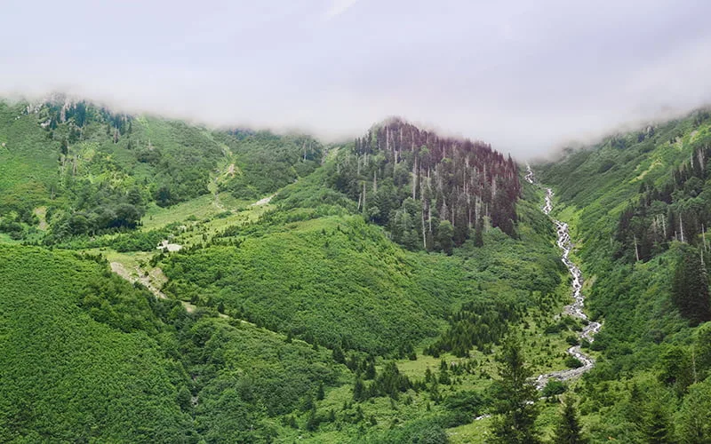 gorgit yaylası, artvin