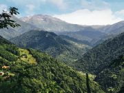 Hatila Vadisi Milli Parkı Nerede📍 Nasıl Gidilir Hatila Vadisi