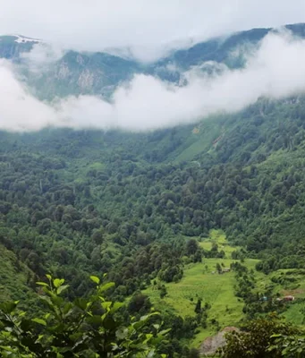 Artvinin Bulutların Üzerindeki Yeşil Cenneti: Maçahel Vadisi Maçahel