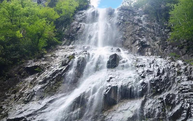 Mençuna Şelalesi nerede