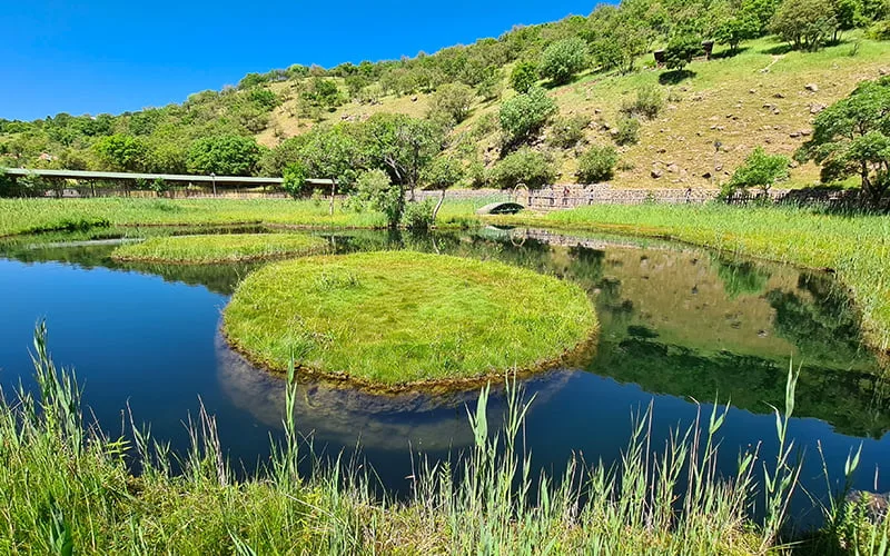 bingöl yüzen adalar