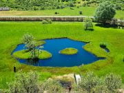 Bingöl Yüzen Ada: Yüzen Adalar Tabiat Anıtı 🏝 yüzen adalar bingöl