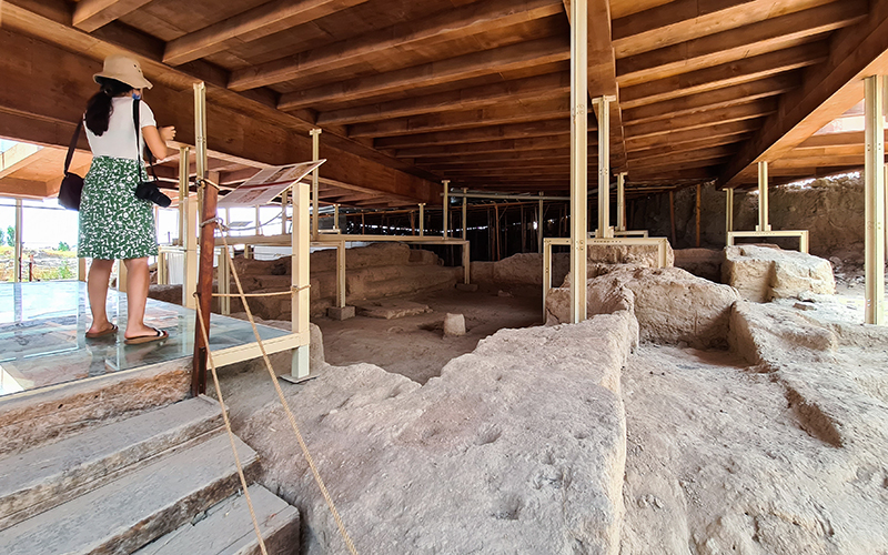 Aslantepe Höyüğü