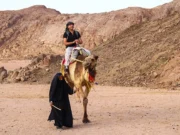 Develerle Çölde Gezi: Bedevi Kampı, Hurgada çölde deveye binmek