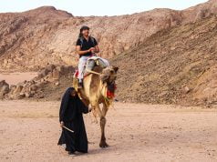 Develerle Çölde Gezi: Bedevi Kampı, Hurgada çölde deveye binmek