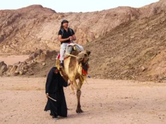 Develerle Çölde Gezi: Bedevi Kampı, Hurgada çölde deveye binmek