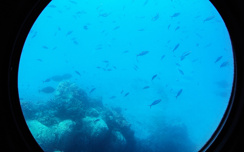 hurghada denizaltı turu