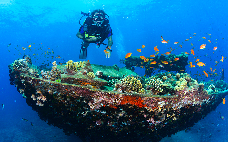 hurghada yapılacak şeyler