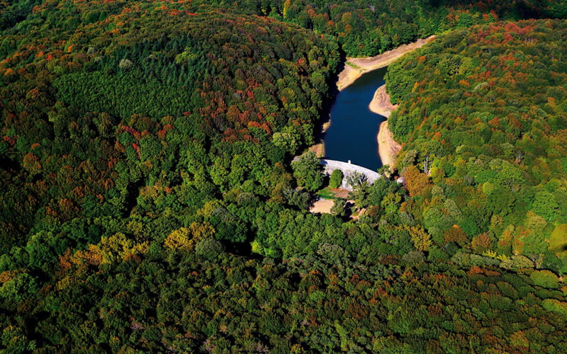 Belgrad ormanı bilgi