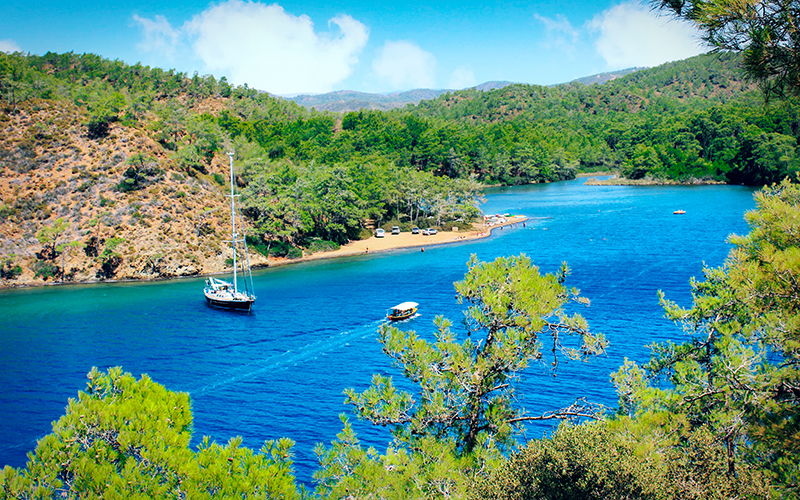 Bördübet Marmaris