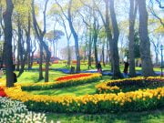 Emirgan Korusu, İstanbul Emirgan Korusu