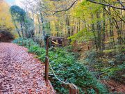 Polonezköy Tabiat Parkı, İstanbul Polonezköy