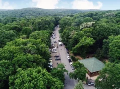 Belgrad Ormanı: İstanbul’un Yeşil Cennetinde Doğa Kaçamağı belgrad ormanı nerede