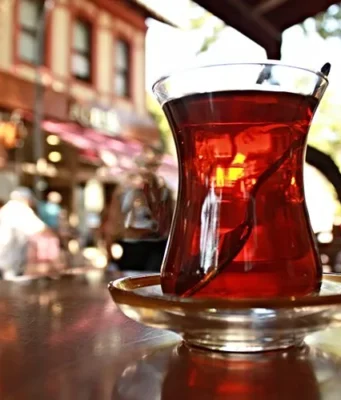 çay hakkında bilgiler