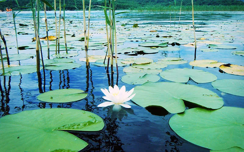 durusu terkos gölü