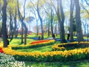 Emirgan Korusu, İstanbul Emirgan Korusu