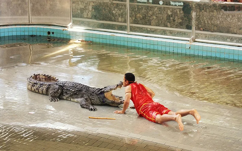 Million Years Stone Park Timsah Çiftliği