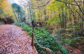 Polonezköy Tabiat Parkı Gezi Rehberi 2026: Nasıl Gezilir, Giriş Ücreti, Tüm Detaylar Polonezköy
