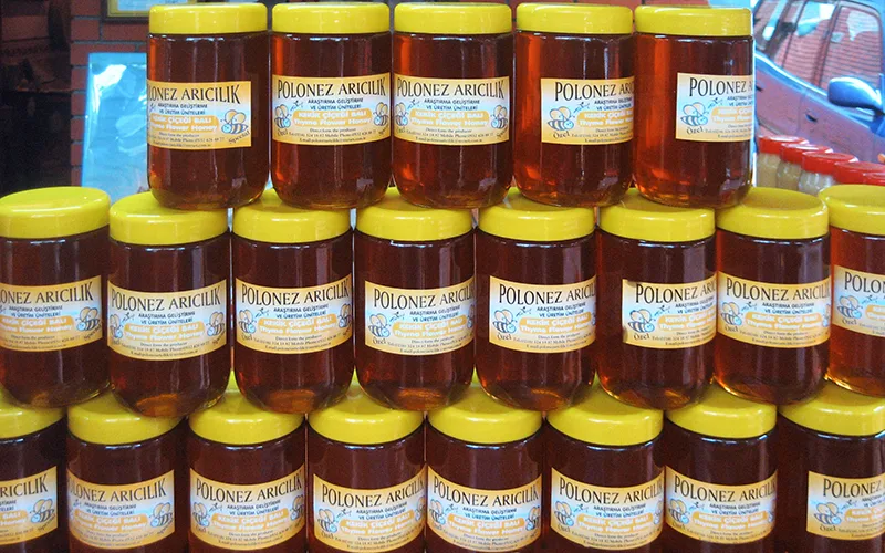 Polonezköy Arıcılık Müzesi