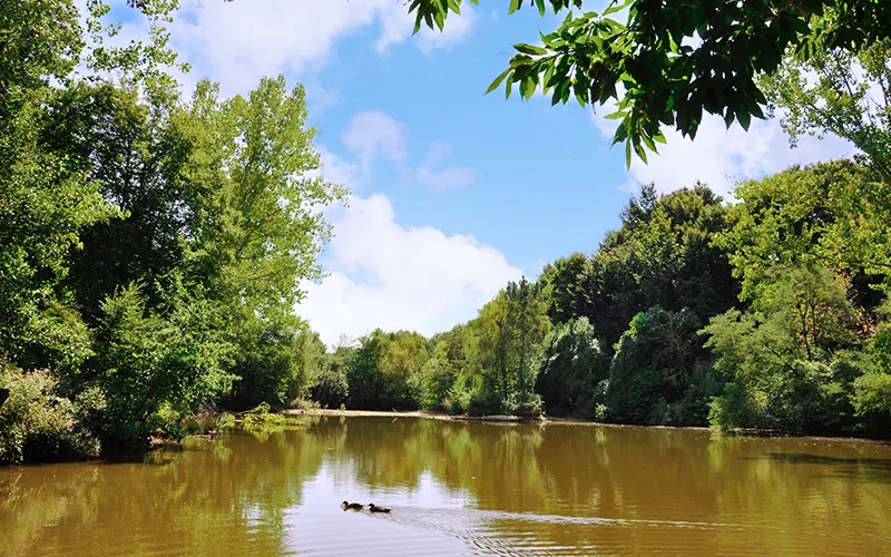 Polonezköy Country Club