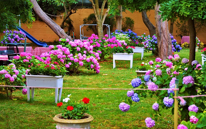 Polonezköy gezilecek yerler