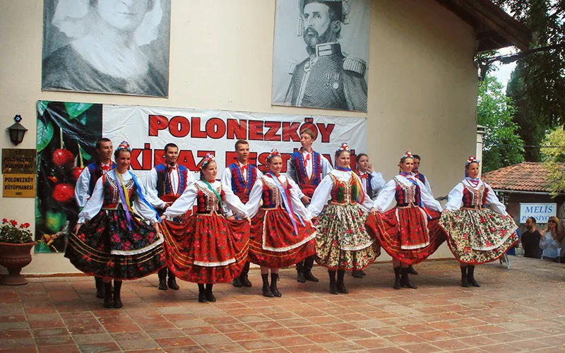 Polonezköy Kiraz Festivali