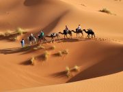 Tunus Gezilecek Yerler tunus gezilecek yerler