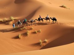 Tunus Gezilecek Yerler   tunus gezilecek yerler