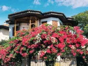 Akyaka Gezi Rehberi: Gezilecek Yerler, Ne Yapılır ve Pratik Bilgiler Akyaka