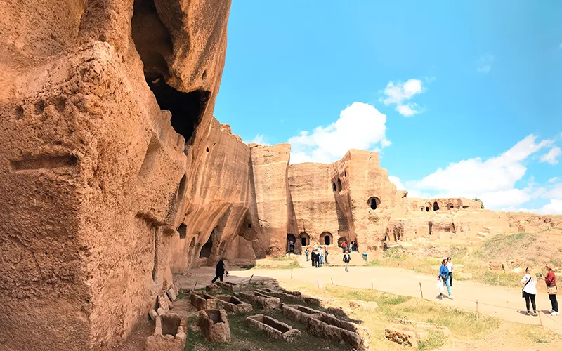 dara hakkında bilgiler