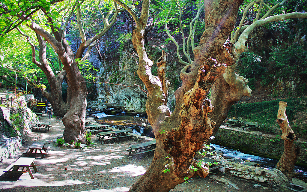 Kazdağları Pınarbaşı