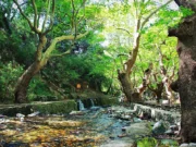 Pınarbaşı, Kazdağları