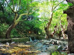 Kazdağları Pınarbaşı Mesire Yeri Pınarbaşı, Kazdağları