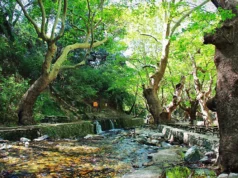 Kazdağları Pınarbaşı Mesire Yeri Pınarbaşı, Kazdağları