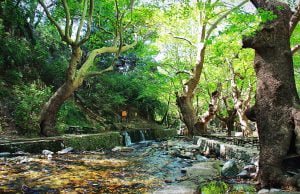 Pınarbaşı, Kazdağları