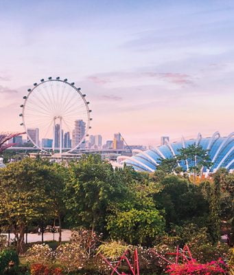 Dünyanın En Yüksek Dönme Dolabı: Singapore Flyer singapore flyer