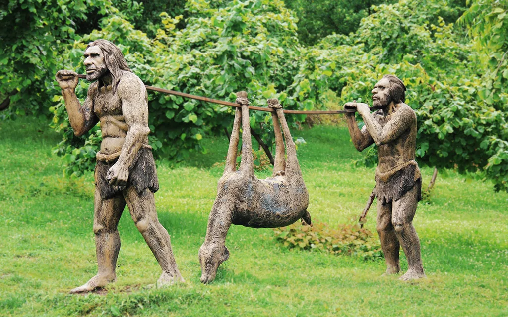 Tekkeköy Mağaraları Arkeoloji Vadisi