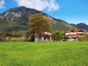 Yeşilüzümlü Köyü, Fethiye   Yeşilüzümlü