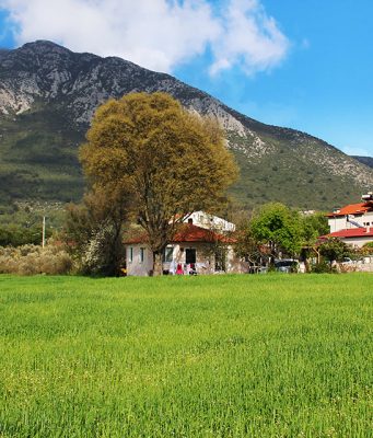 Yeşilüzümlü Köyü, Fethiye Yeşilüzümlü