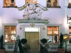 Arabischen Kaffeebaum