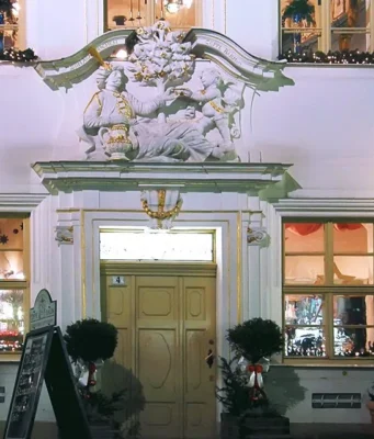 Arabischen Kaffeebaum