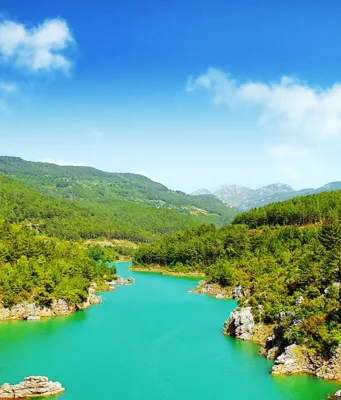 dim çayı milli parkı