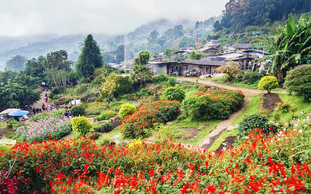 Doi Pui Hmong village