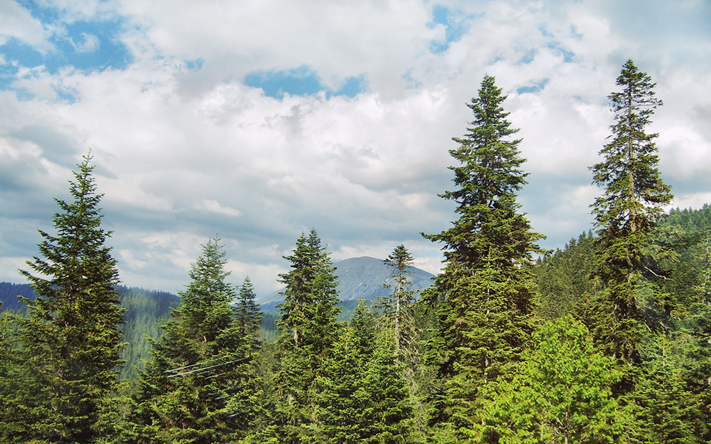 Ilgaz Dağı Milli Parkı