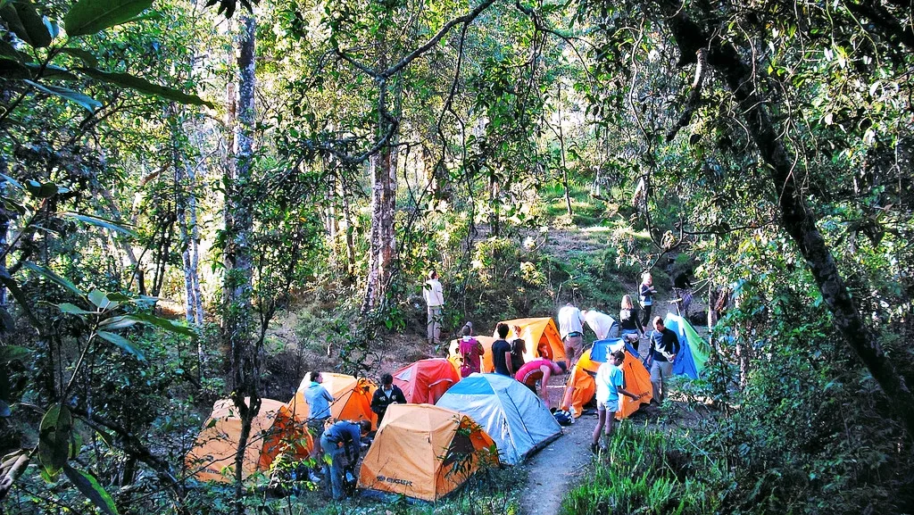 Mount Rinjani camp