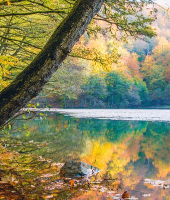 Yedigöller Milli Parkı Yedigöller